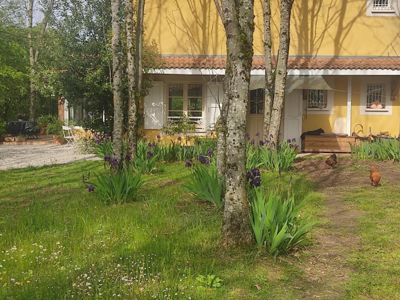 La Frenaie Bed & Breakfast Saint-Cyr-sur-le-Rhone Екстериор снимка