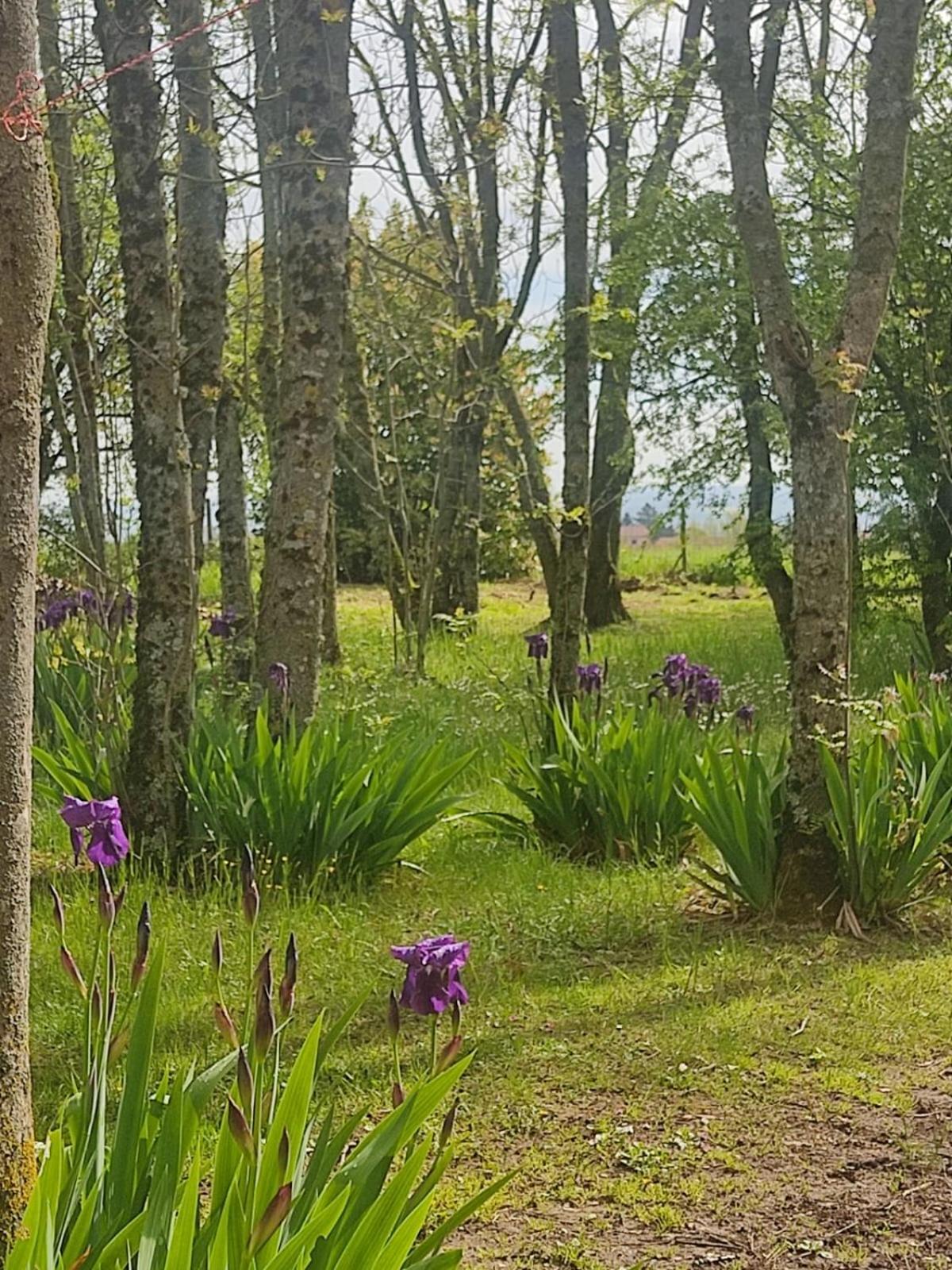 La Frenaie Bed & Breakfast Saint-Cyr-sur-le-Rhone Екстериор снимка
